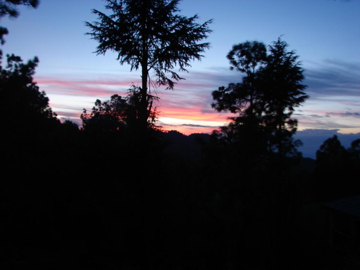 Elphinstone Inn Almora Dış mekan fotoğraf